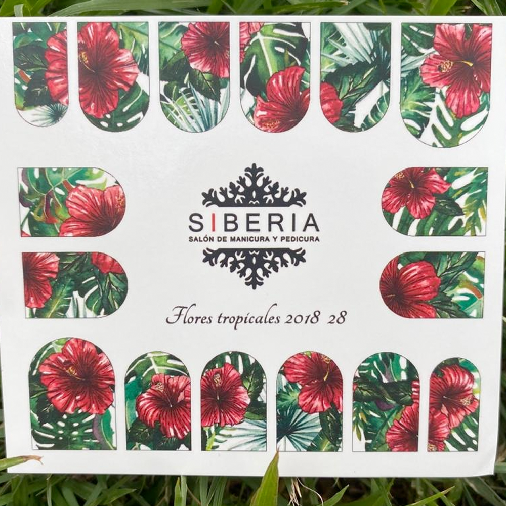 Siberia Slider Flores Tropicales 2018 28